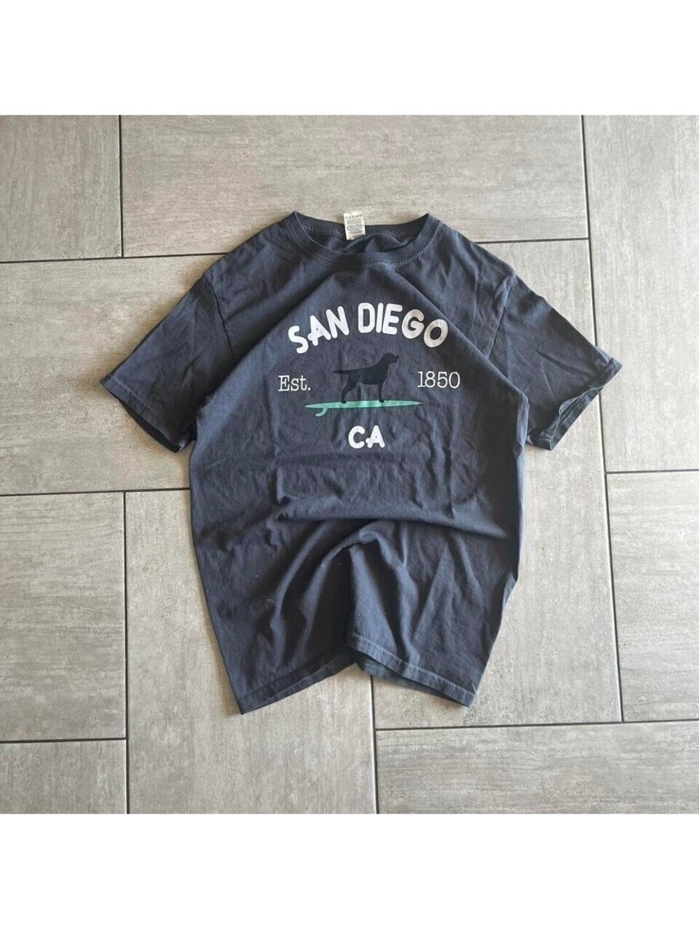 Fruit of the Loom San Diego California  Lab Surf  Gray S